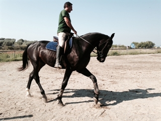 Arzillo  del Talozzo 2014